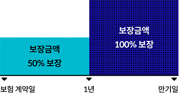 보험 계약일~1년: 보장금액 50% 보장, 1년~만기일: 보장금액 100% 보장