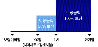 보험계약일로부터 90일(치과치료보장개시일)이 지난 날의 다음 날부터 1년 이내 충전, 크라운치료 보장금액 50%보장., 1년 이후 만기일내 충전, 크라운치료 보장금액 100%보장을 막대그래프로 도식화