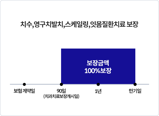 치수, 영구치발치, 스케일링, 잇몸질환치료 보장 - 보험 계약일 90일(치과치료보장개시일)~만기일: 보장금액 100% 보장