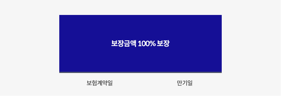 보장금액 100% 보장