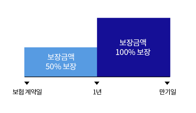 보험 계약일~1년: 보장금액 50% 보장, 1년~만기일: 보장금액 100% 보장